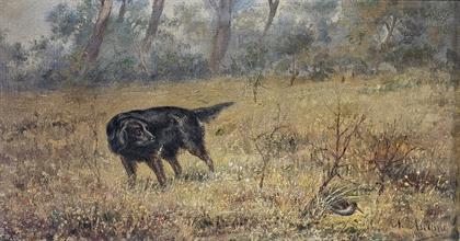 Lotto 39 - Ascione Nicola