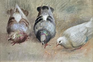 Lotto 53 - De Nicola Francesco