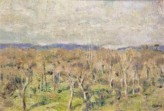 Lotto 54 - Villani Gennaro