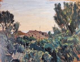 Lotto 18 - Viti Eugenio