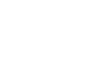 ERRICO GALLERIA CASA D'ASTA S.R.L.